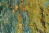 Gary Green Jasper (Larsonite) Bog Wood Slab - Oregon #299309-1